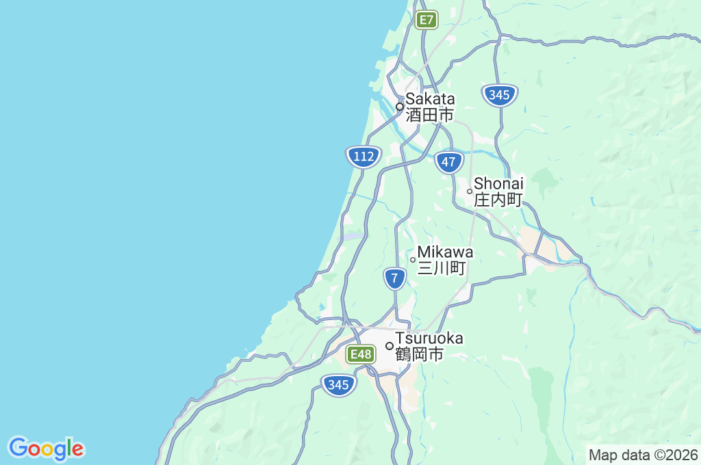 Shonai Airport Area Map