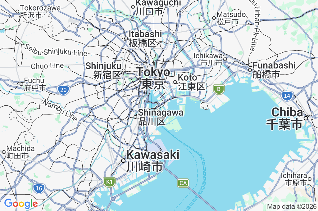 Ariake Junction Area Map