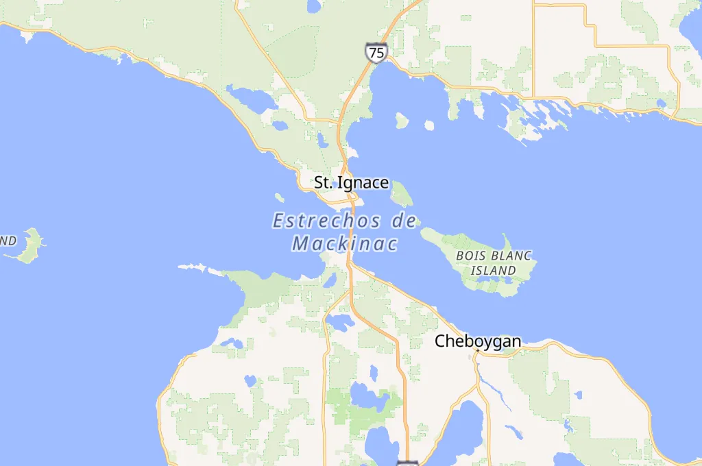 Puente Mackinac Area Map