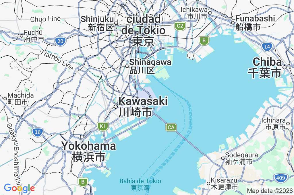 Aeropuerto Internacional de Tokio Area Map